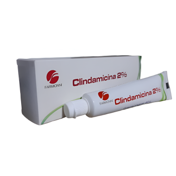 CLINDAMICINA 2 CREMA...