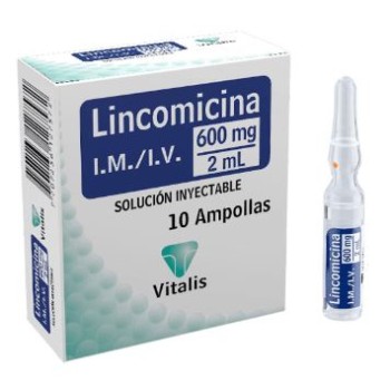 LINCOMICINA 600MG/2ML SOL...